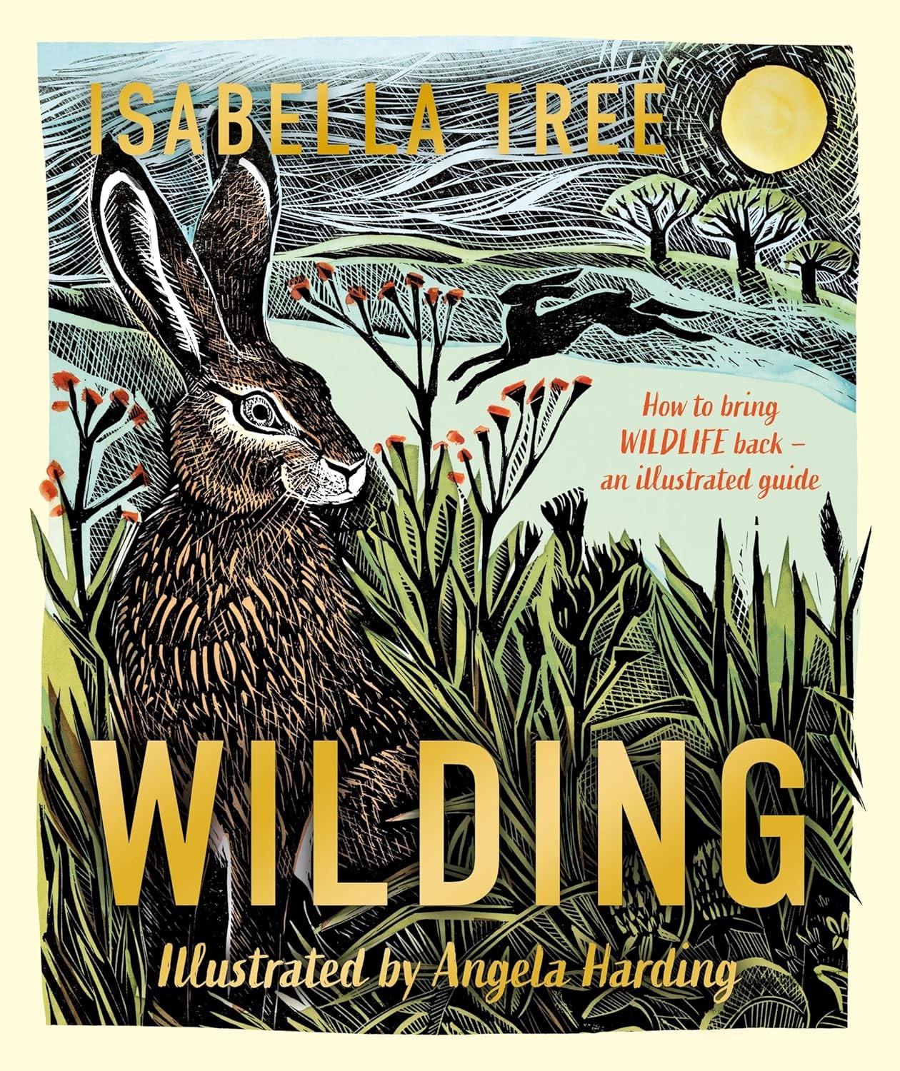 Wilding: An illustrated guide to letting nature back in