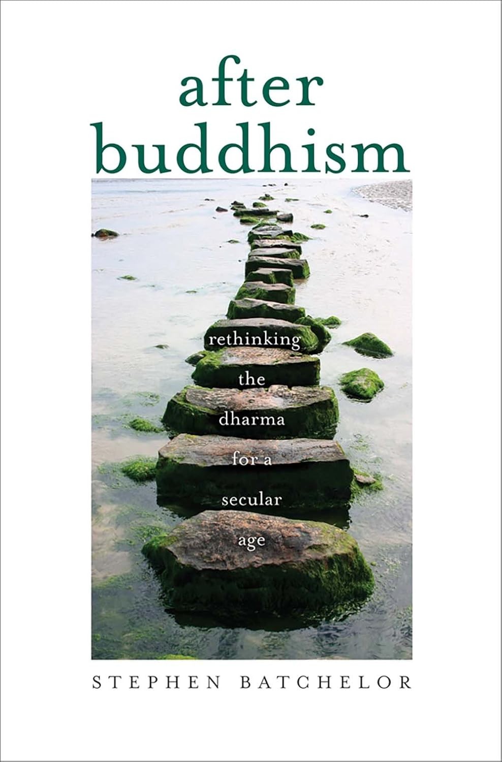 After Buddhism – Rethinking the Dharma for a Secular Age