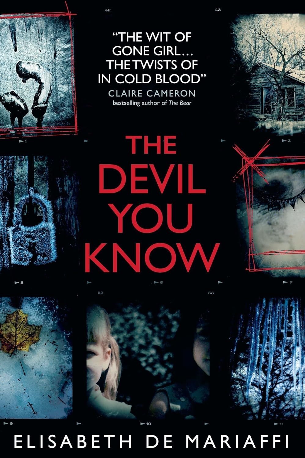 The Devil You Know