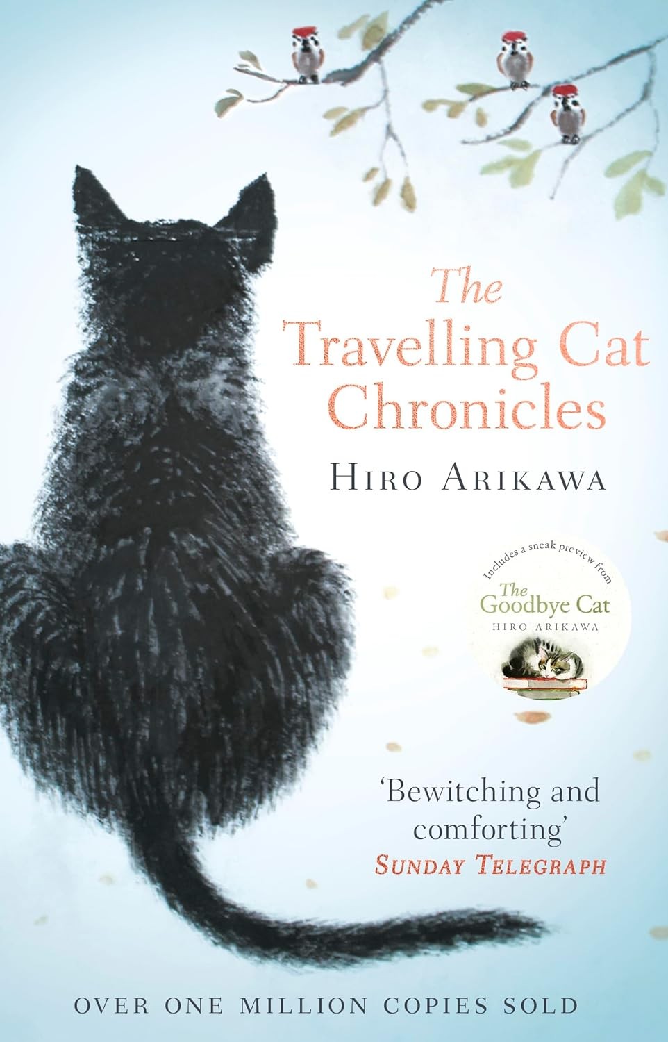 Travelling Cat Chronicles, The: The life-affirming one million copy bestseller