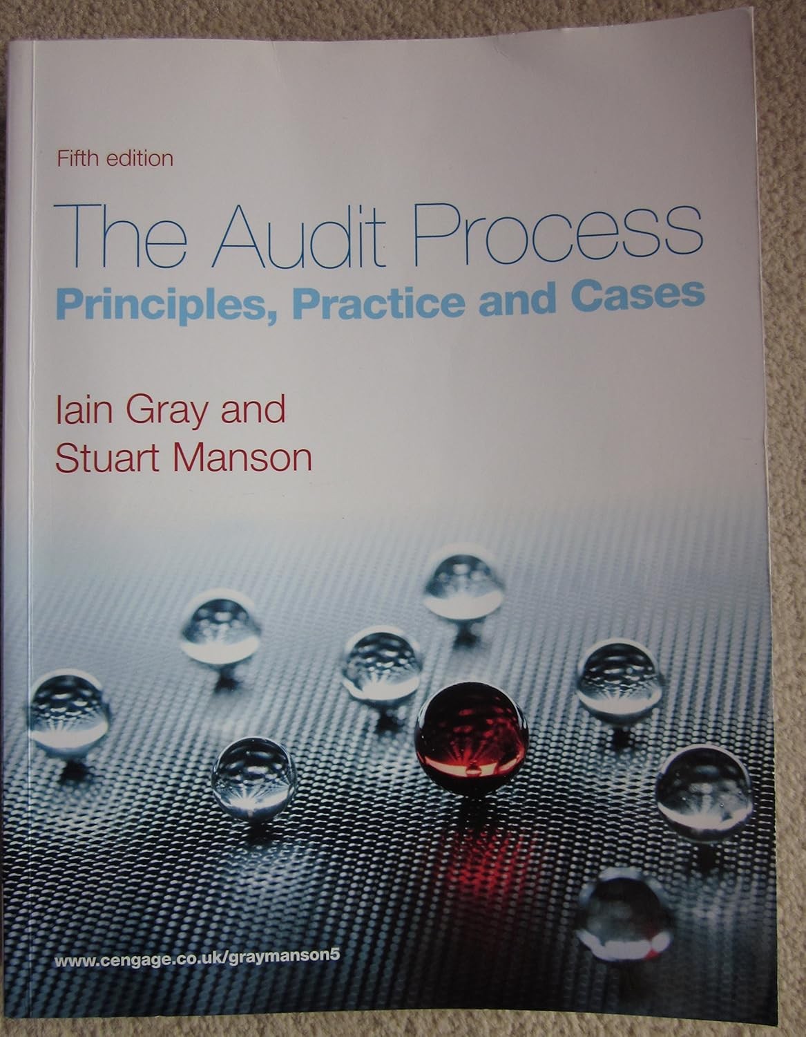 The Audit Process: Principles, Practice and Cases