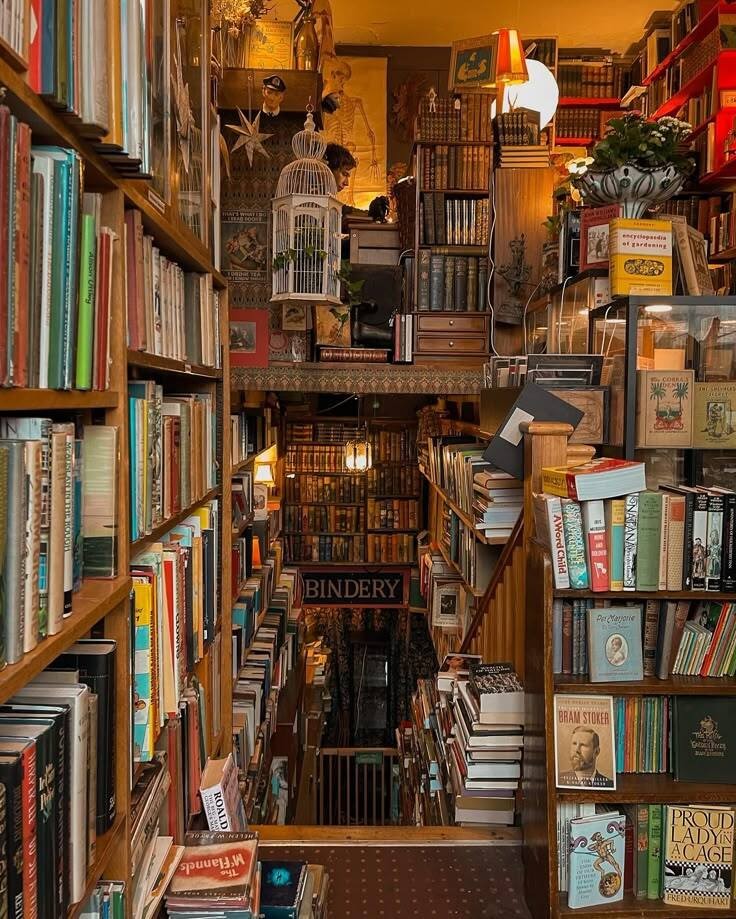 The Future of Online Book Selling: Key Trends to Watch in 2025